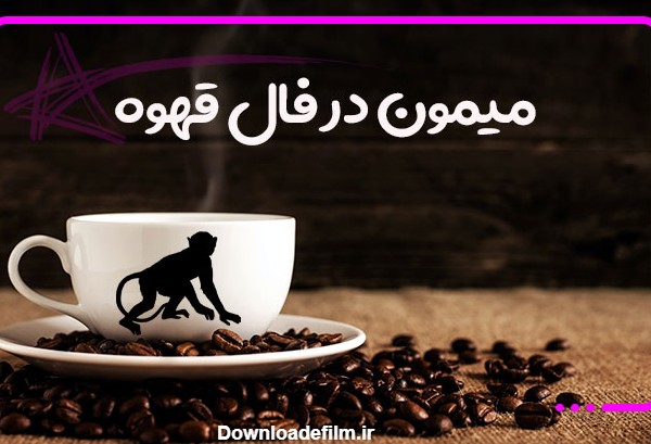 تعبیر و تفسیر میمون در فال قهوه | ستاره