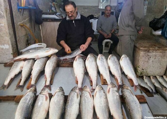 قیمت ماهی نجومی شد / ماهی سفید کیلویی ۸۰۰ هزار تومان ...