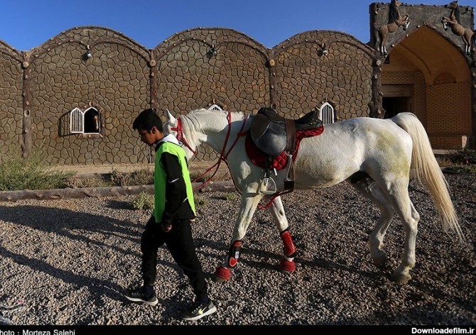 مسابقات اسب سواری استقامت-اصفهان- عکس استانها تسنیم | Tasnim