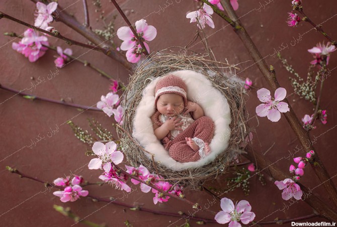 بک دراپ نوزاد سبد چوبی با گل های ریز صورتی کد IBD-4460 ...