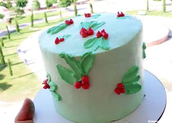 طرز تهیه مینی کیک ساده با طرح ردبری ساده و خوشمزه توسط دلمزه ...