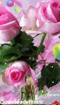 عکس گلهای زیبای متحرک - عکس نودی