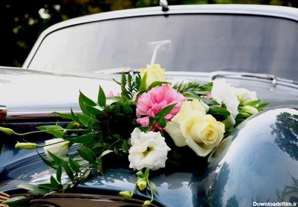 رز سفید برای ماشین عروس