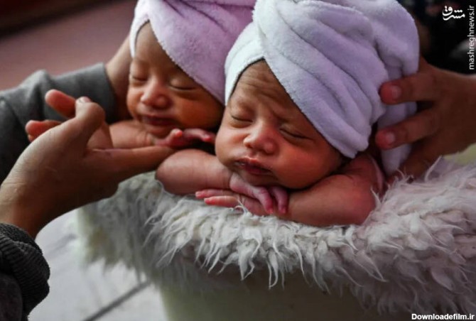 مشرق نیوز - عکس/ ژست دوقلوهای تازه متولد شده برای عکاسی