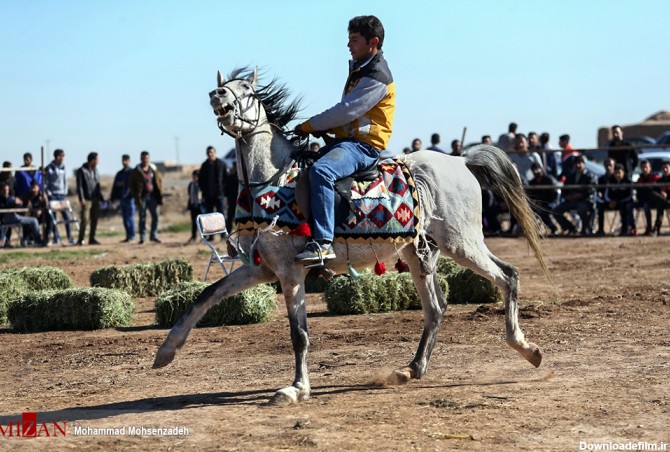 مسابقات زیبایی اسب در روستای البرز قم