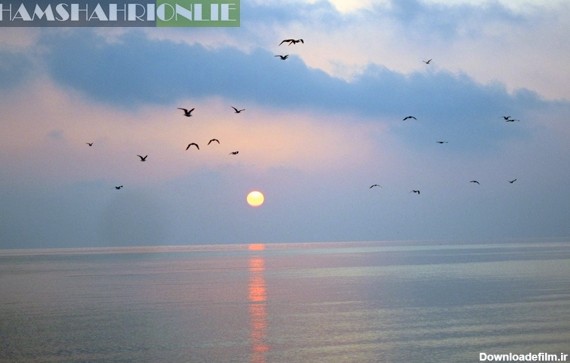تصاویری از منظره طلوع خورشید در جزیره قشم در خلیج فارس