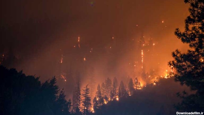 دانلود تصویر آتش سوزی در جنگل و مراتع