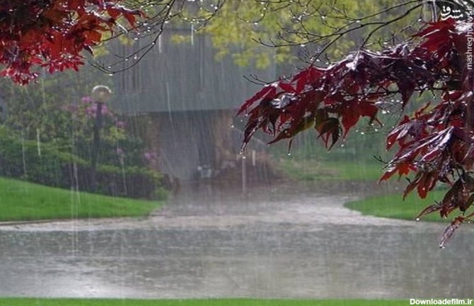 فیلم/ بارش شدید باران پاییزی در ایلام