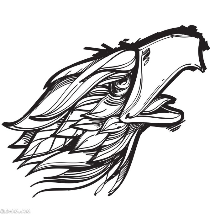 عکس کله عقاب برای تاتو