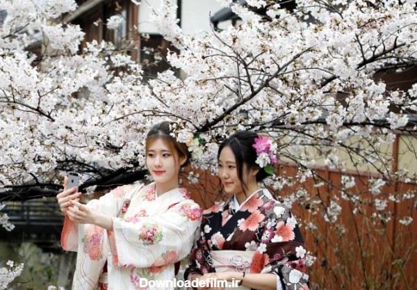 خبرآنلاین - تصاویر | زیبایی‌های فصل بهار در ژاپن