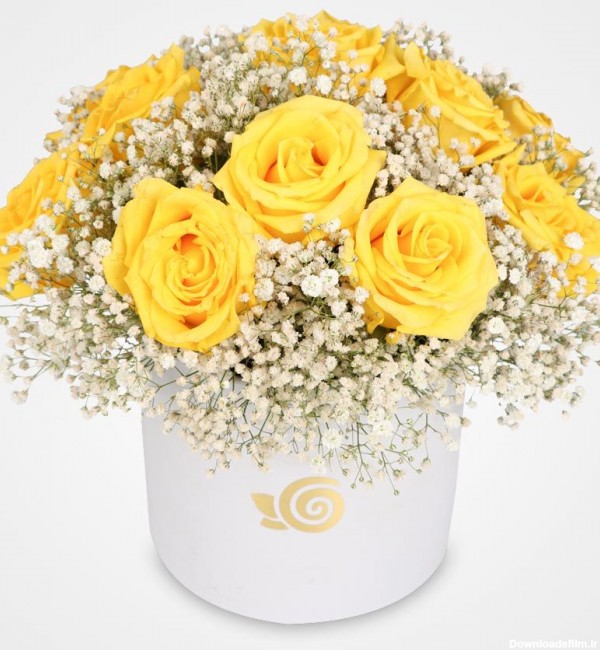 سفارش و خرید آنلاین باکس گل رز زرد رونا | گل فروشی آنلاین گل بازار