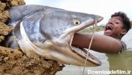 ماهیگیری شگفت انگیز :: صید ماهی بزرگ زیرزمینی مثل هیولا