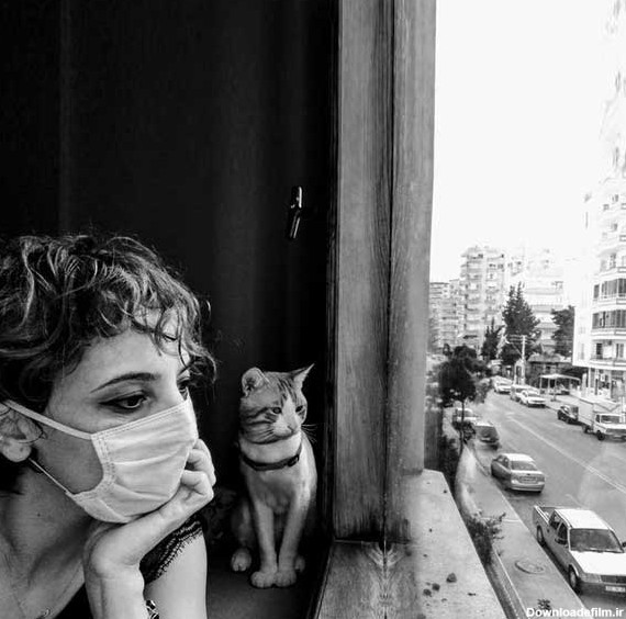 عکس پروفایل دختر به همراه گربه کنار پنجره