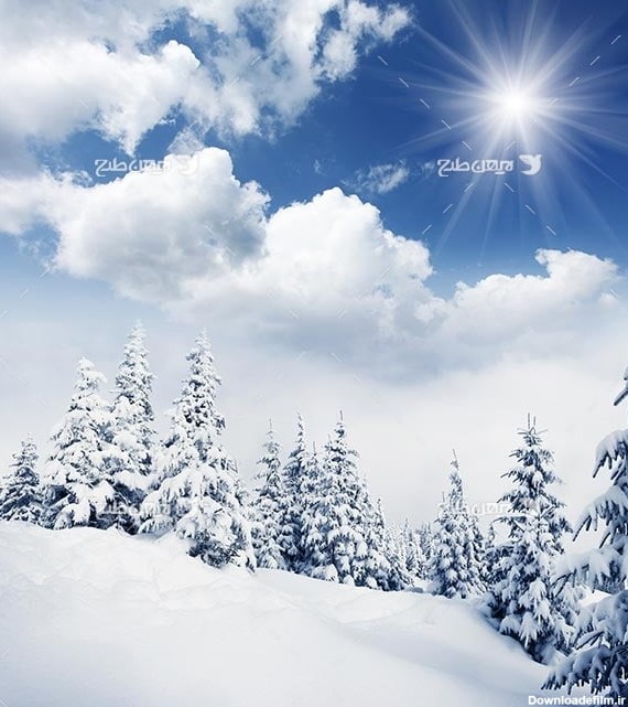 تصویر منظره برفی و برف و درخت کاج، ابر و آسمان و خورشید
