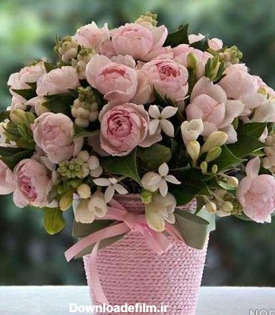 عکس گل با گلدان زیبا