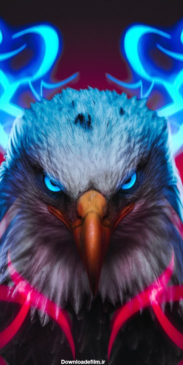 عکس زمینه عقاب جذاب و پرابهت با چشمان آبی وحشی ویژه Sony Xperia 5