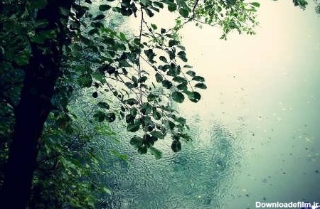 طبیعت بارانی بسیار زیبا