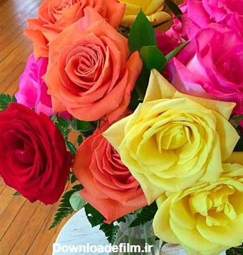 عکس گل های زیبا و رنگارنگ