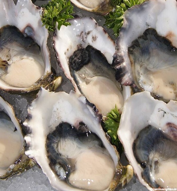 گران قیمت‌ترین غذاهای دریایی در دنیا | لست سکند