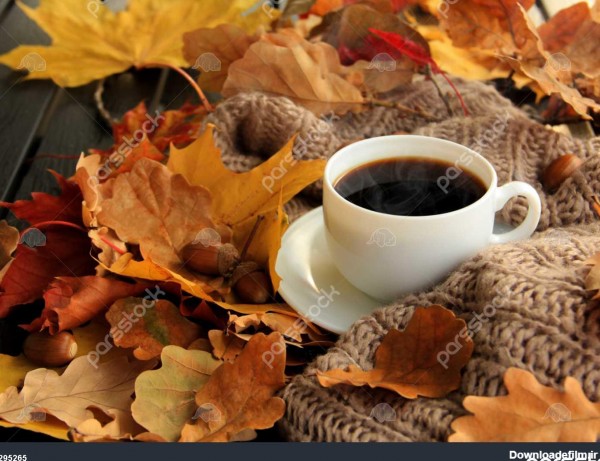 پاییز برگ بخار فنجان قهوه و یک شال گرم در پس زمینه میز فصلی قهوه ...