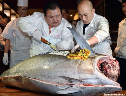 فروش گرانترین ماهی تن دنیا در ژاپن (+عکس)
