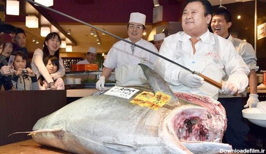 فروش گرانترین ماهی تن دنیا در ژاپن (+عکس)