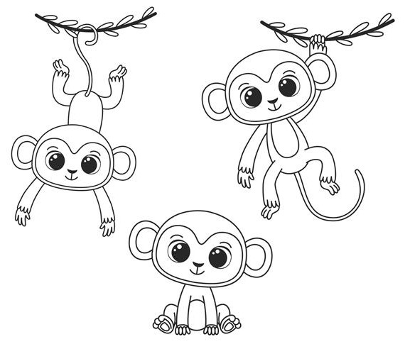 مجموعه ای از میمون های کارتونی زیبا تصویر برداری سیاه و سفید ...