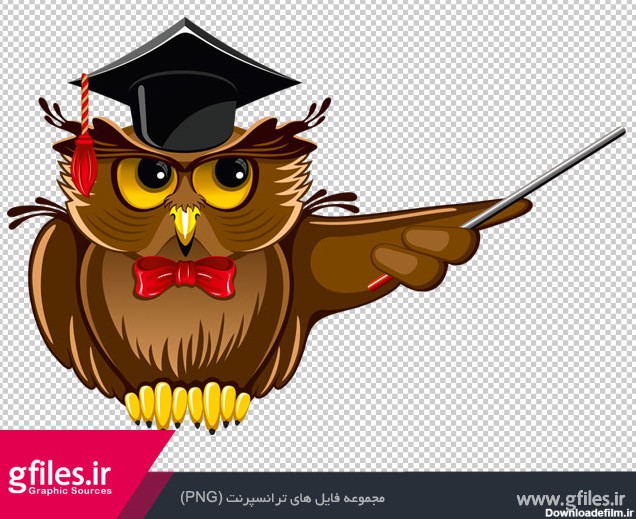 فایل رایگان PNG جغد معلم در حال تدریس (Owl Teacher PNG Clipart)