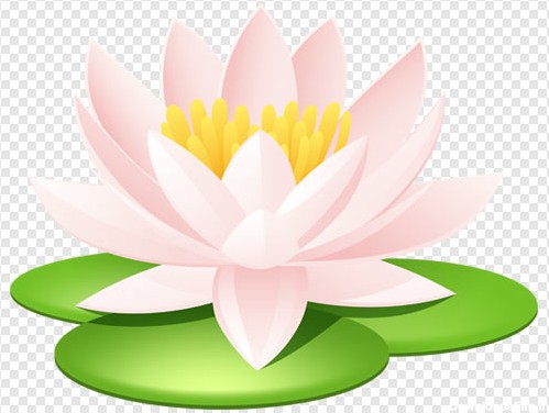 دانلود فایل دوربری شده گل نیلوفر آبی با پسوند png