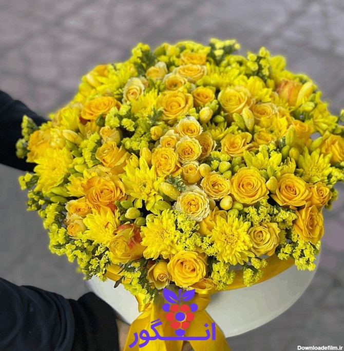 سفار اینترنتی باکس گل سارگل با گلهای رز زرد از گل فروشی آنلاین انگور
