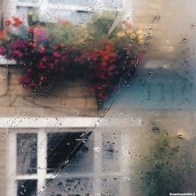 شیشه ی پنجره را باران شست. - عکس ویسگون