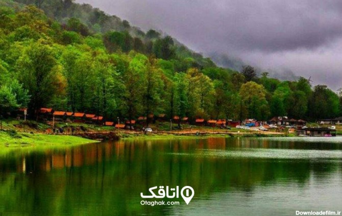 دریاچه‌ای زیبا در کنار جنگل مازندران