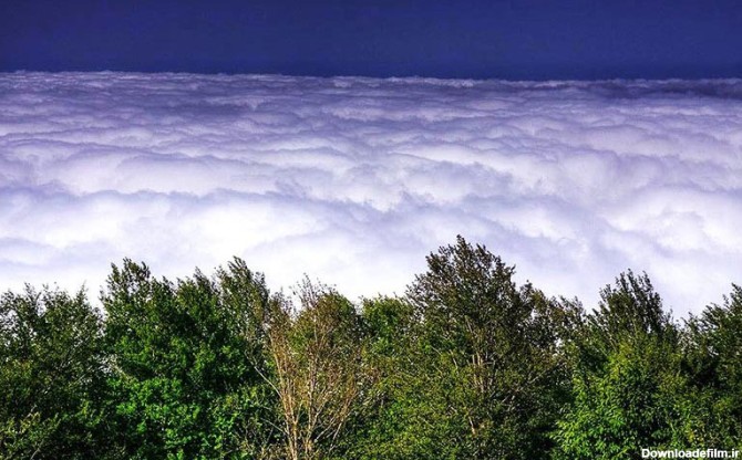 جنگل ابر شاهرود؛ راهنمای دسترسی، عکس و تمام جاذبه‌های آن | جاباما