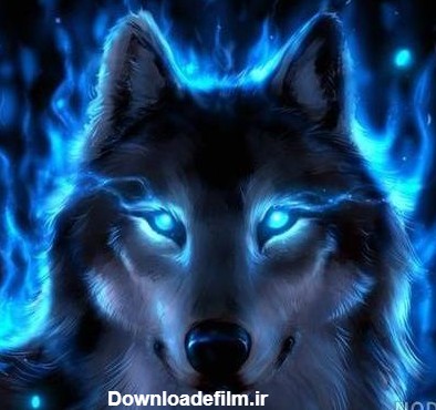 عکس گرگ چشم آبی وحشی