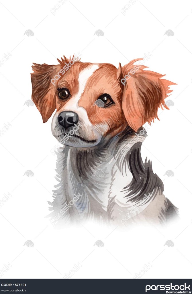 نقاشی آبرنگ با تصویر سگ زیبا 1571801