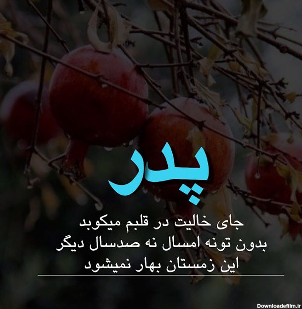 عکس و متن عید نوروز بدون حضور پدرم