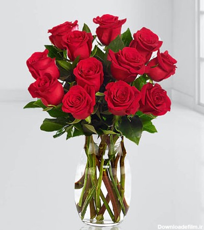 عکس گل رز قرمز در گلدان شیشه ای