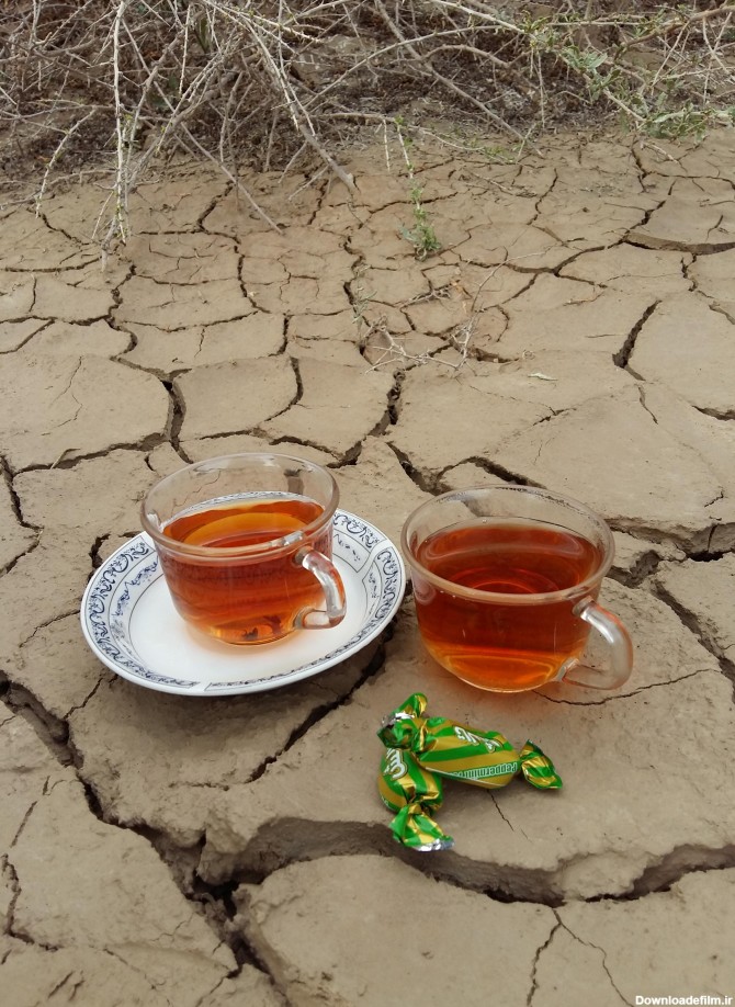 دلم هوایِ دو فنجان چای و لبخندت - عکس ویسگون