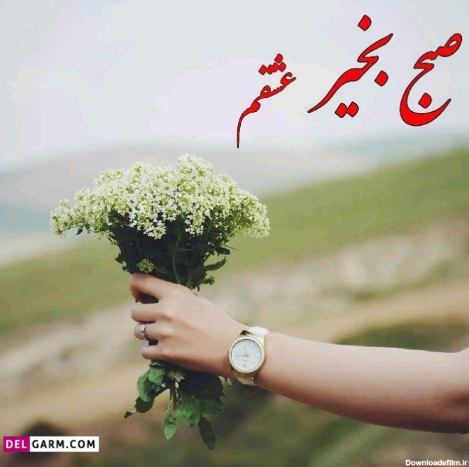 یک عکس برای صبح بخیر