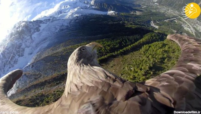 فرارو | (تصاویر) رشته کوه آلپ از چشم‌های یک عقاب