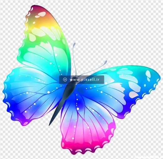 دانلود فایل png و دوربری شده پروانه رنگی