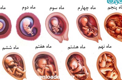 تغییرات بدن جنین در ماه چهارم بارداری