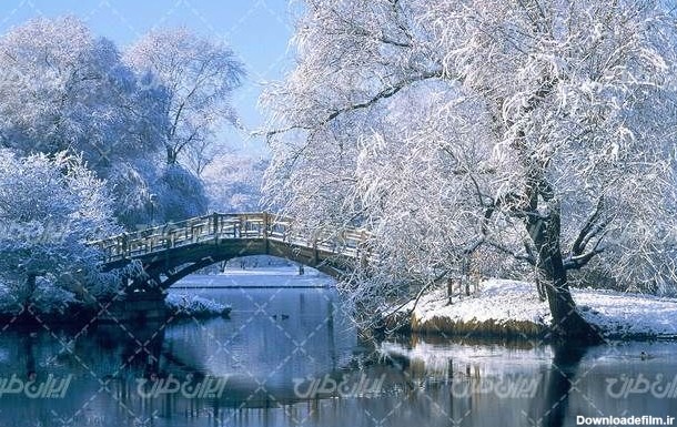 تصویر با کیفیت طبیعت زمستان به همراه منظره زیبا و طبیعت زیبای برفی ...