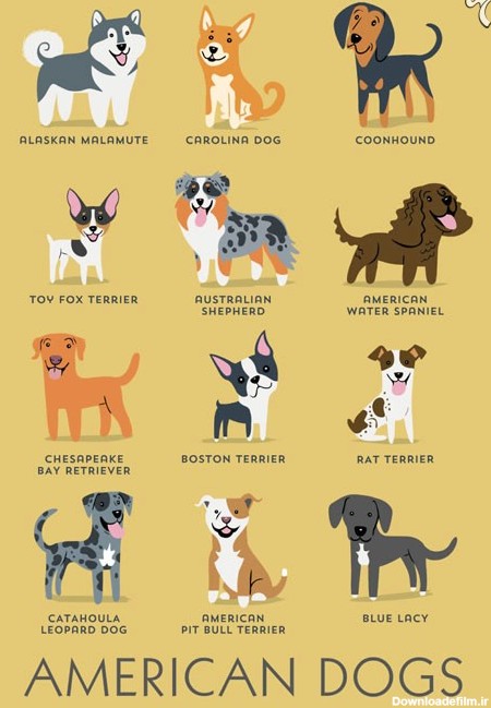 اصل و ریشه نژادهای مختلف سگ‌ها +عکس