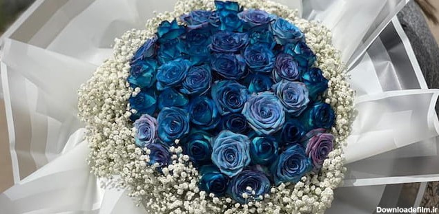 دسته گل رز آبی زیبا