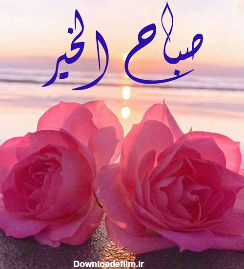 صبح بخیر به عربی با متن و جملات زیبا (رسمی، دوستانه و عاشقانه) | ستاره