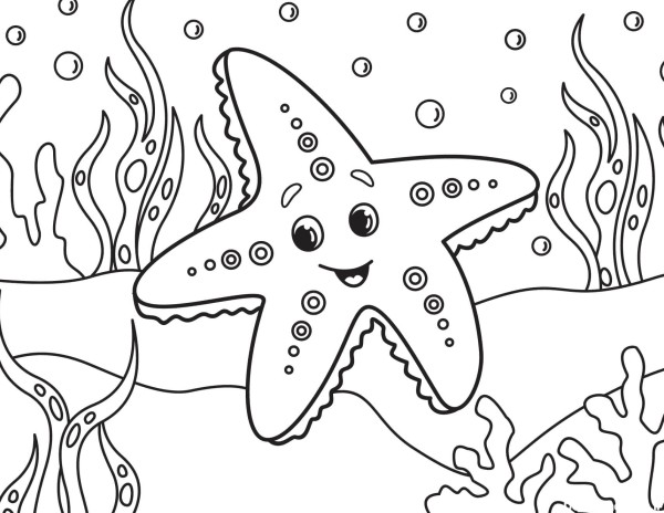 رنگ آمیزی ستاره دریایی - پنجره ای به دنیای کودکان