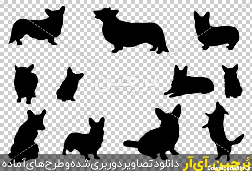 Borchin-ir-Corgi dog silhouettes وکتور سگ پاکوتاه png2