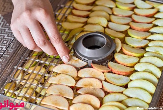 چیدن ورقه های میوه برای قرار دادن در خشک کن های میوه