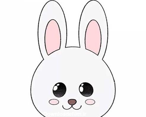 عکس صورت خرگوش